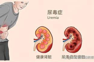 欧洲杯官方列欧预赛数据：卢卡库射手王、B费助攻王，C罗射正最多